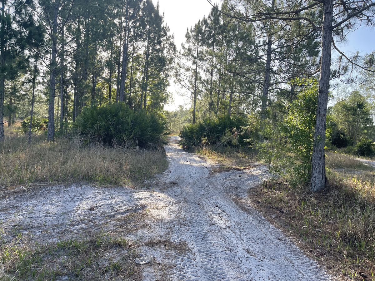 Civic engagement - town halls and community meetings for public participation