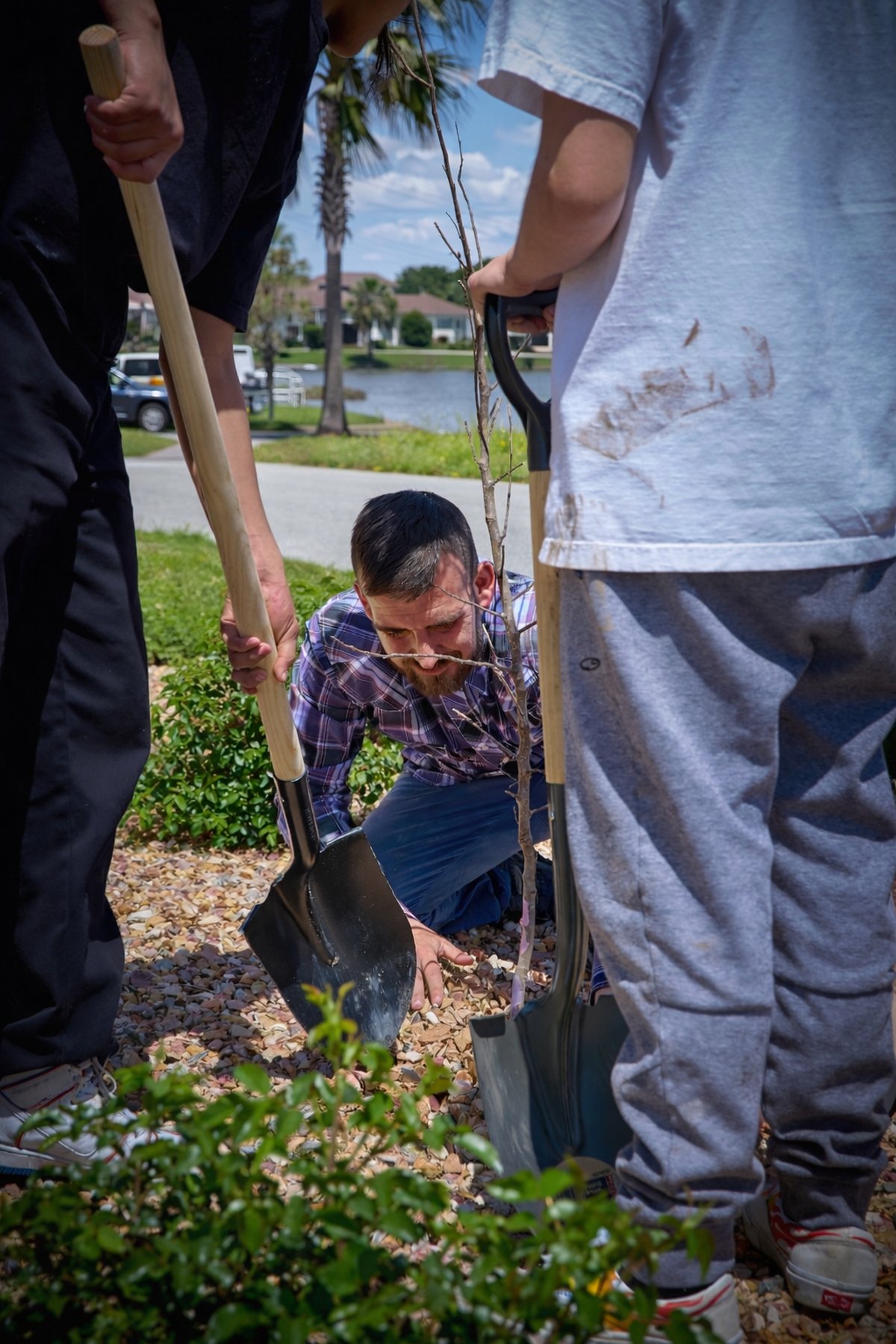 Community tree planting initiative for parks and public spaces